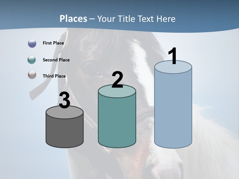 Horse Mare Face PowerPoint Template