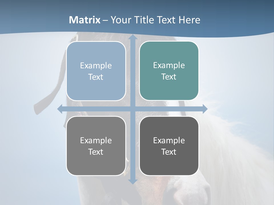 Horse Mare Face PowerPoint Template