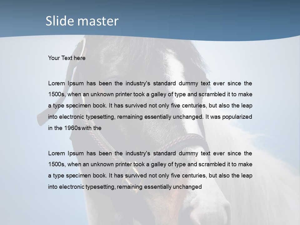 Horse Mare Face PowerPoint Template