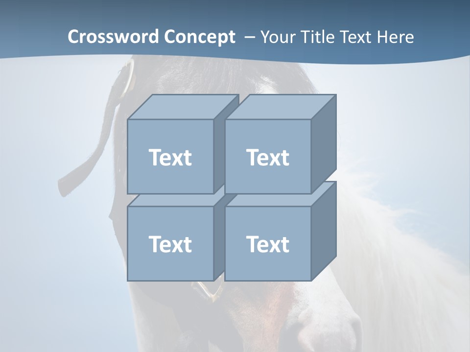 Horse Mare Face PowerPoint Template