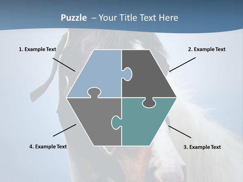 Horse Mare Face PowerPoint Template
