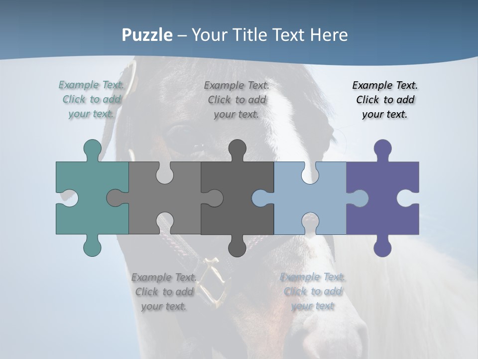 Horse Mare Face PowerPoint Template