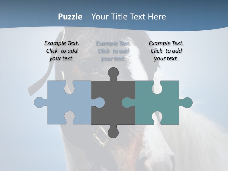 Horse Mare Face PowerPoint Template