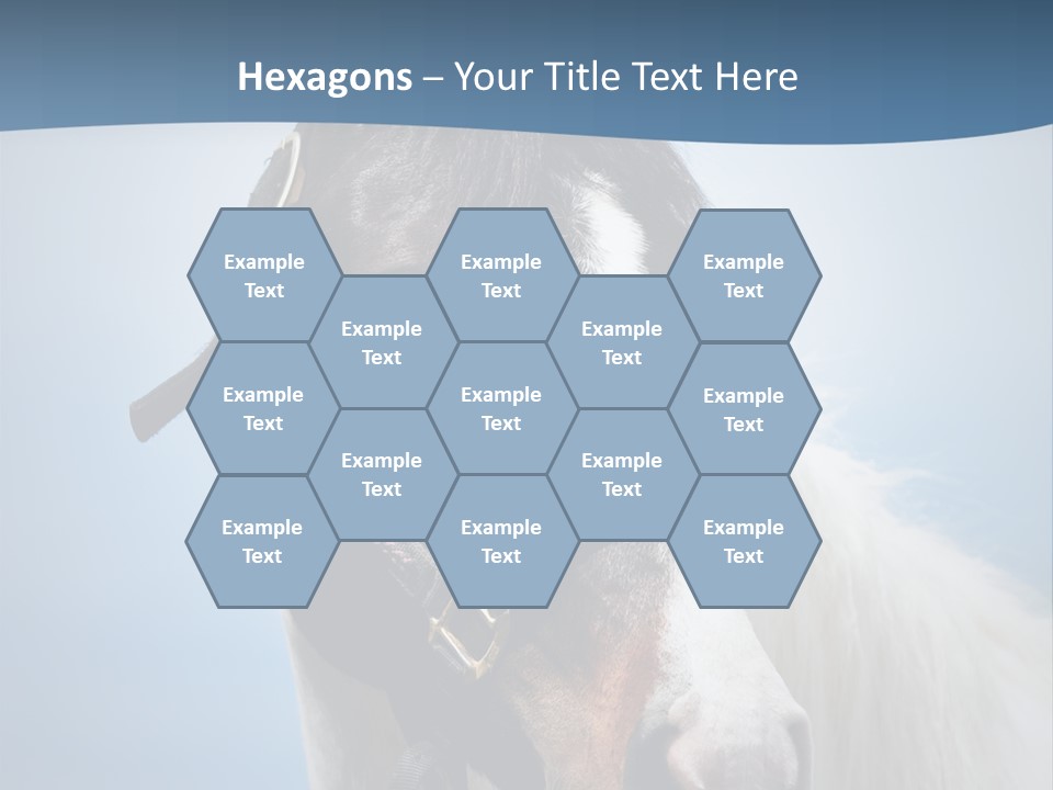 Horse Mare Face PowerPoint Template