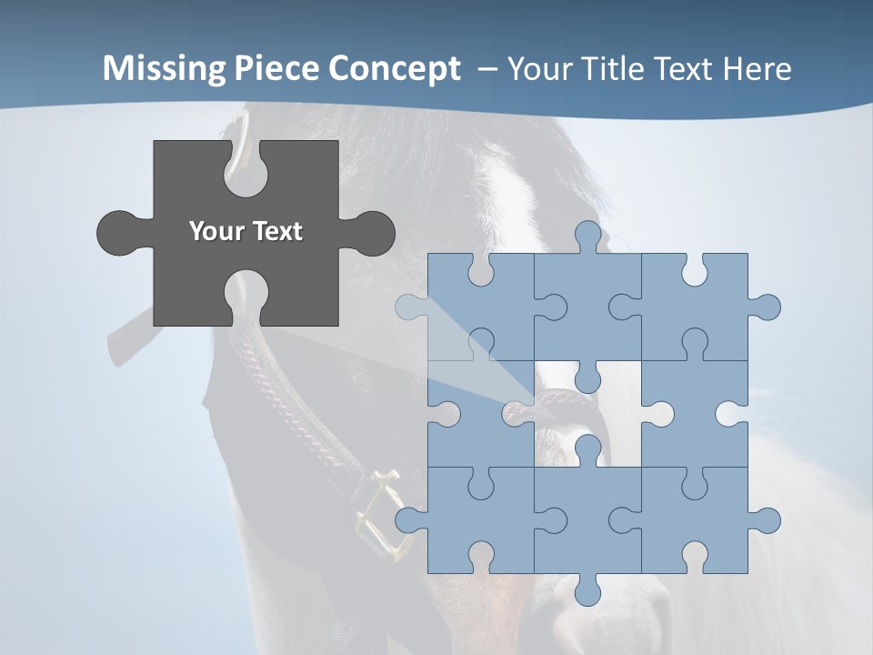 Horse Mare Face PowerPoint Template