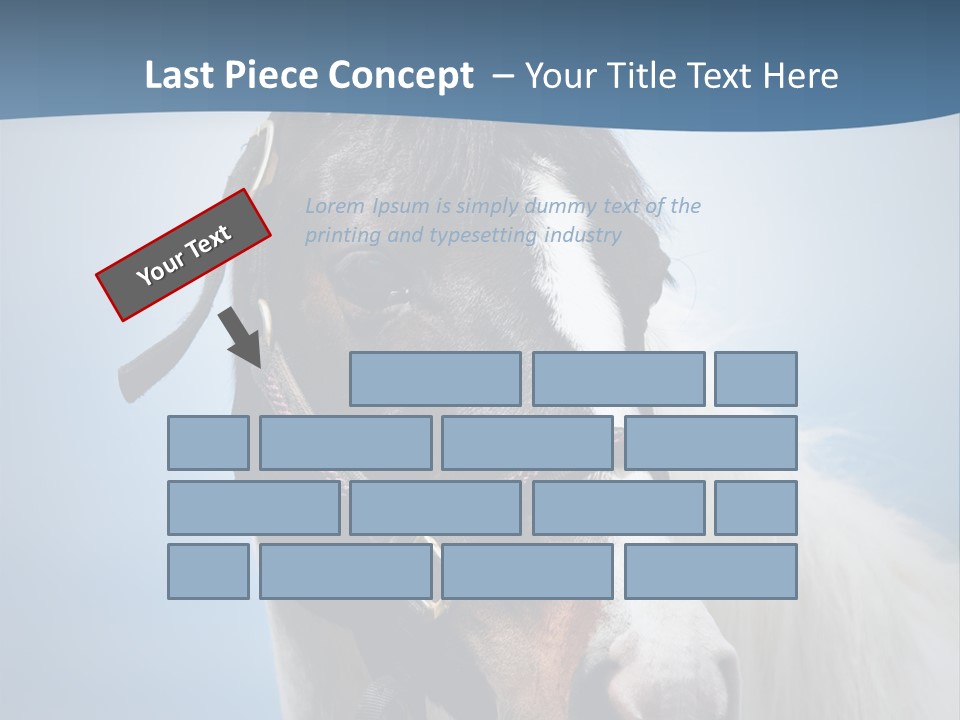 Horse Mare Face PowerPoint Template