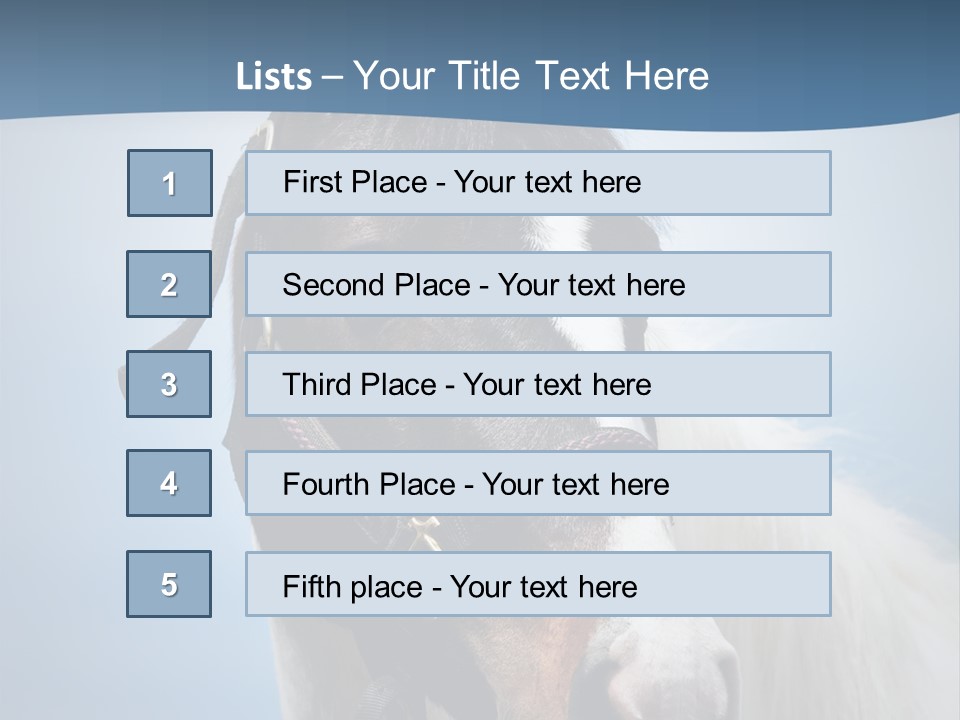 Horse Mare Face PowerPoint Template