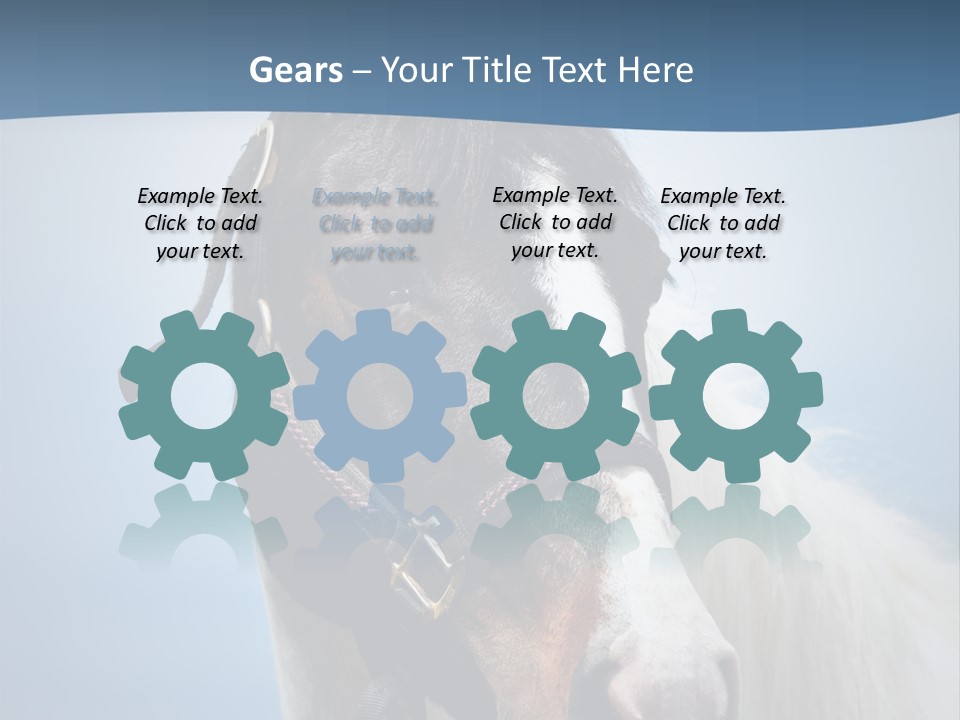 Horse Mare Face PowerPoint Template