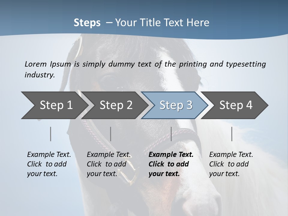 Horse Mare Face PowerPoint Template