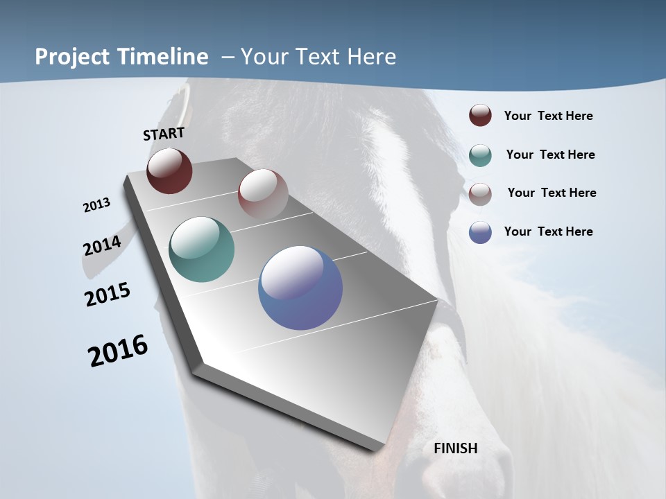 Horse Mare Face PowerPoint Template