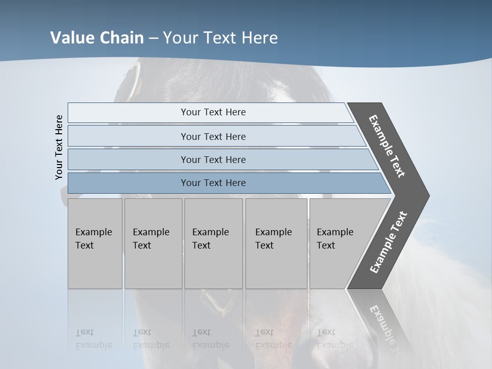 Horse Mare Face PowerPoint Template