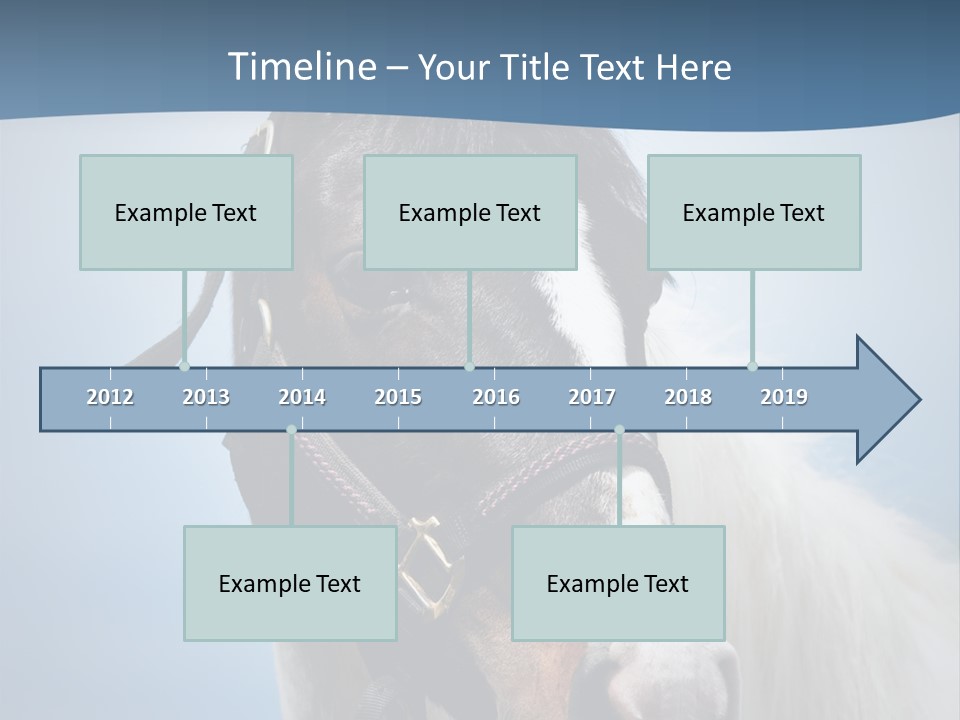Horse Mare Face PowerPoint Template