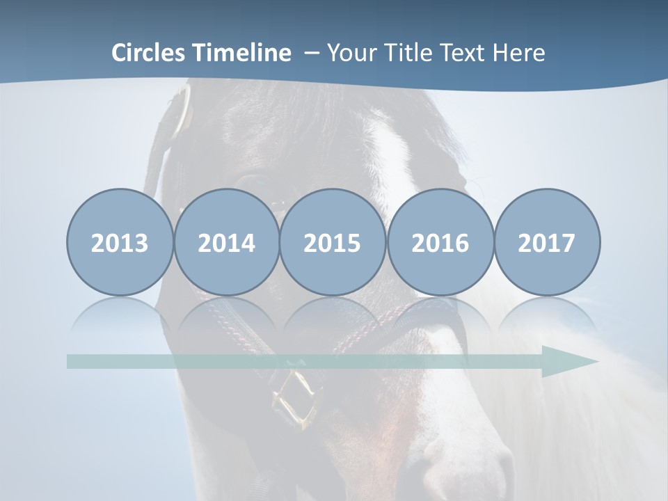 Horse Mare Face PowerPoint Template