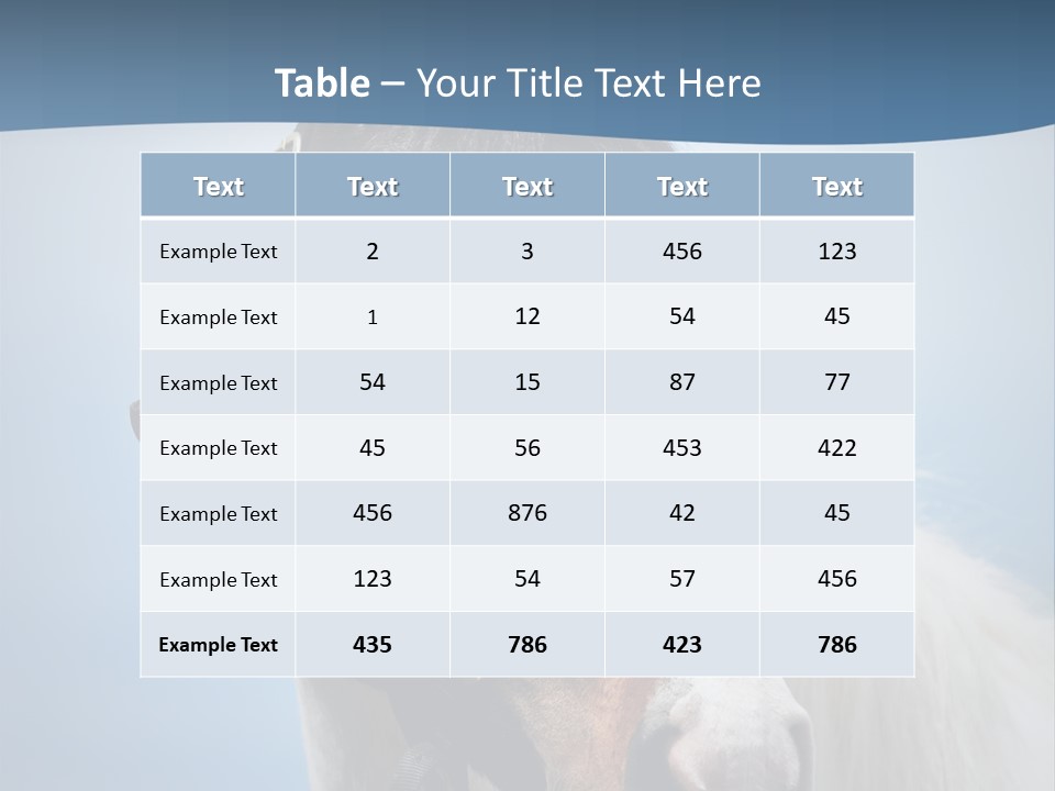 Horse Mare Face PowerPoint Template