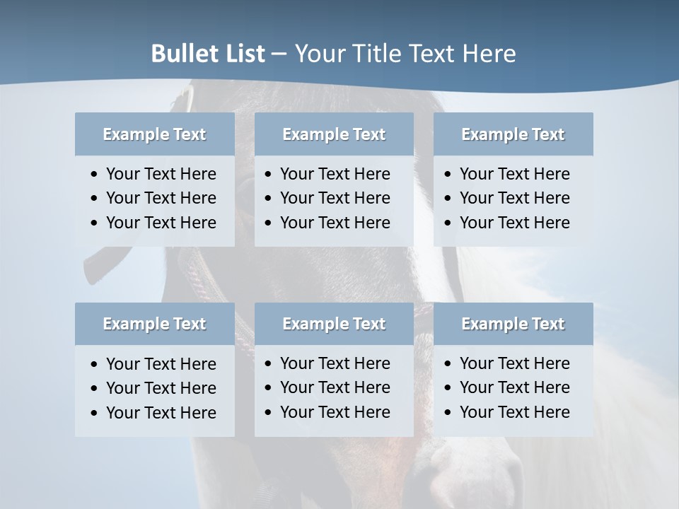 Horse Mare Face PowerPoint Template