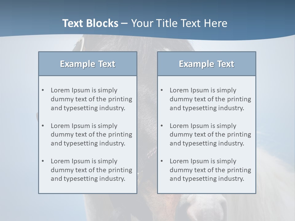 Horse Mare Face PowerPoint Template