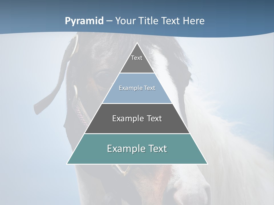 Horse Mare Face PowerPoint Template