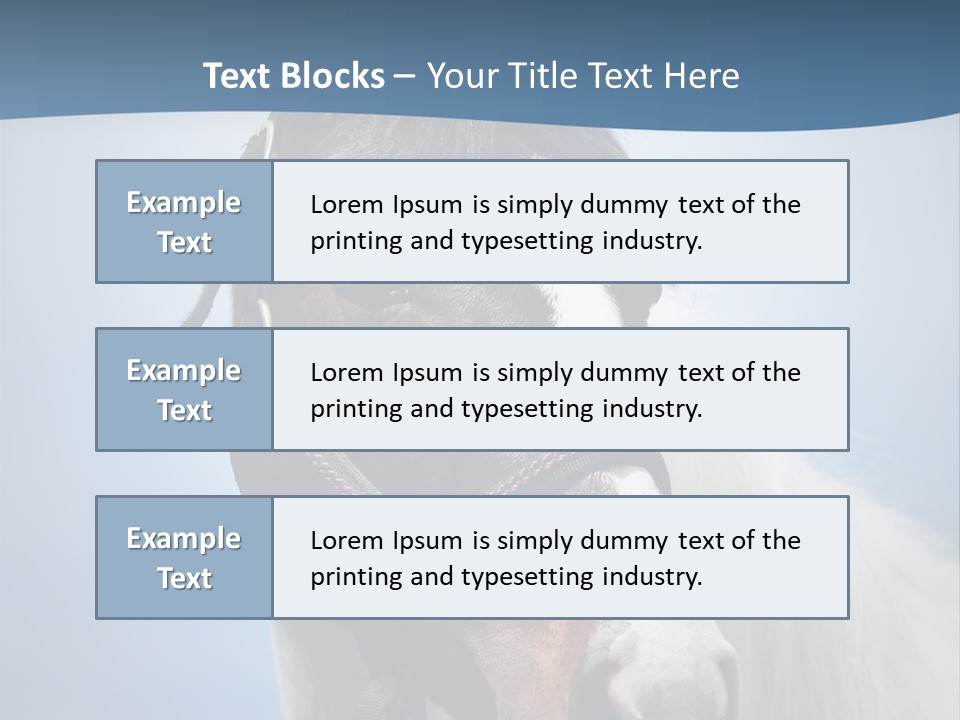 Horse Mare Face PowerPoint Template