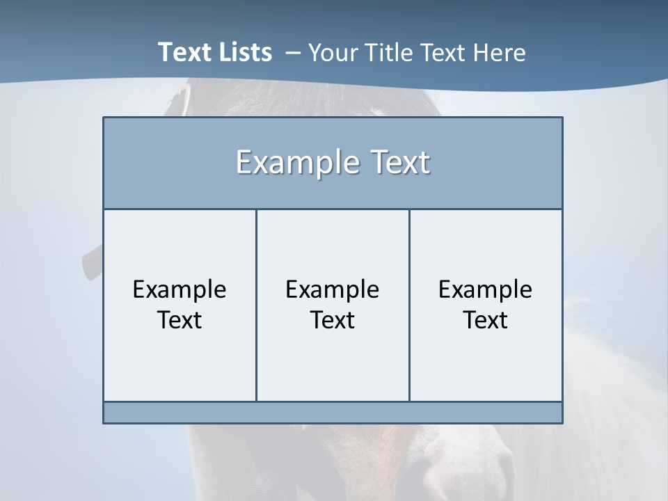 Horse Mare Face PowerPoint Template