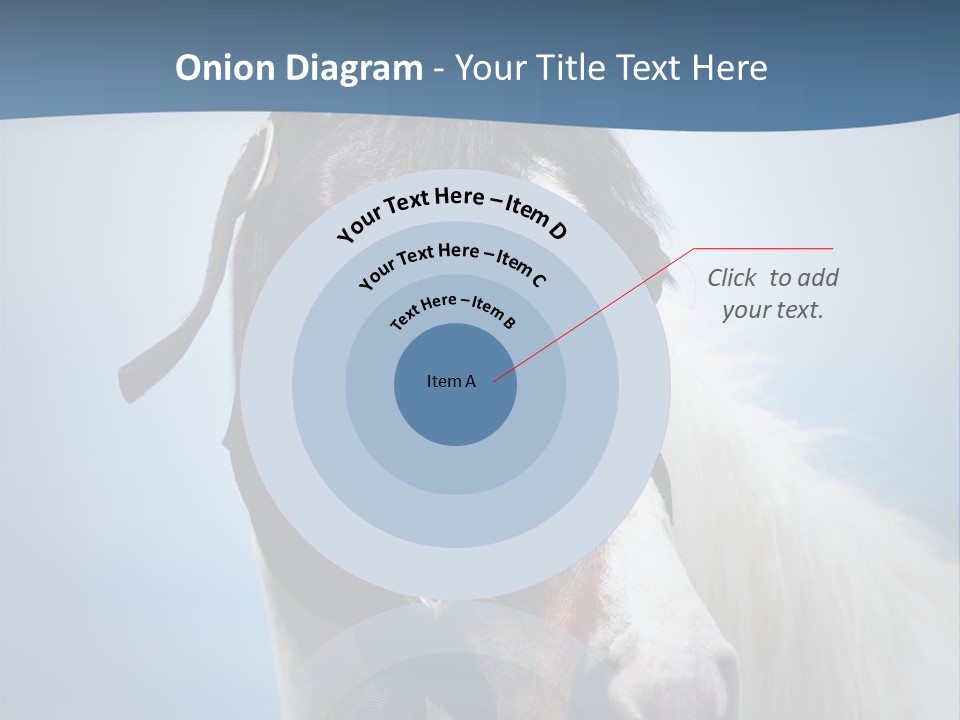 Horse Mare Face PowerPoint Template