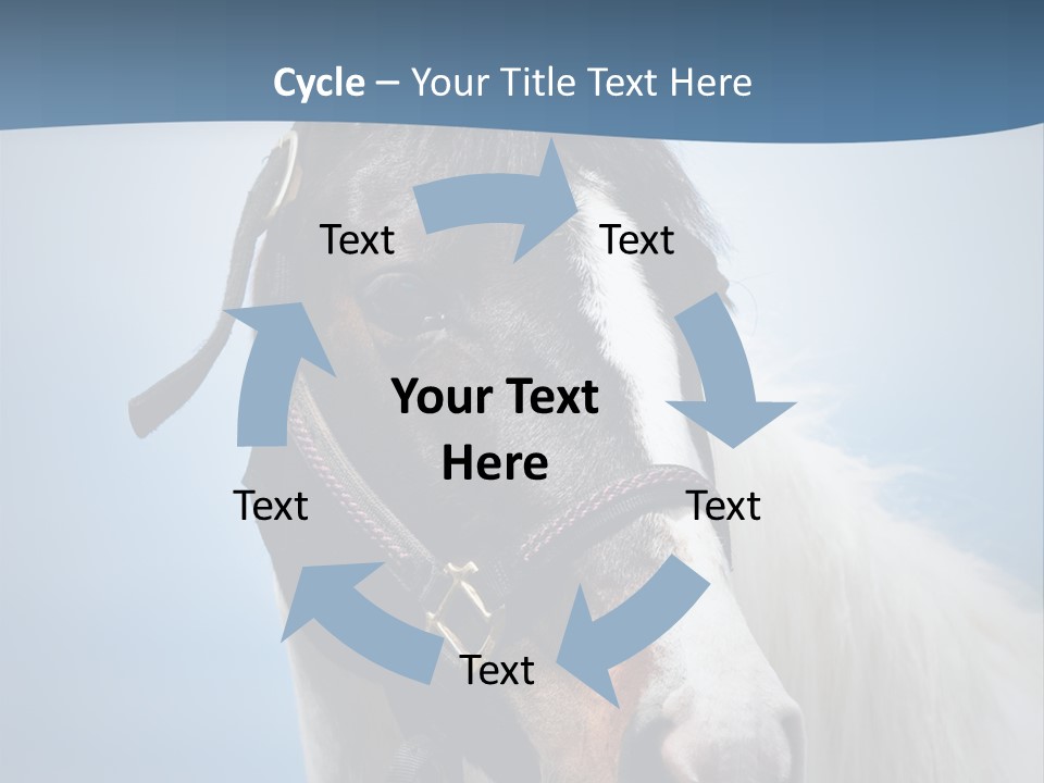 Horse Mare Face PowerPoint Template