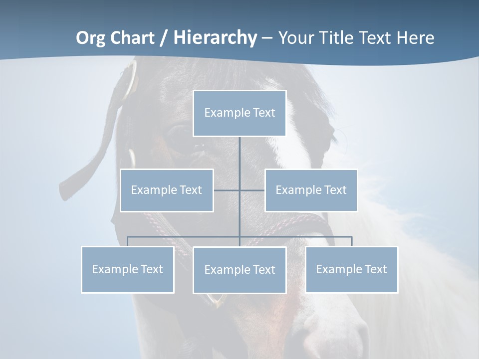 Horse Mare Face PowerPoint Template