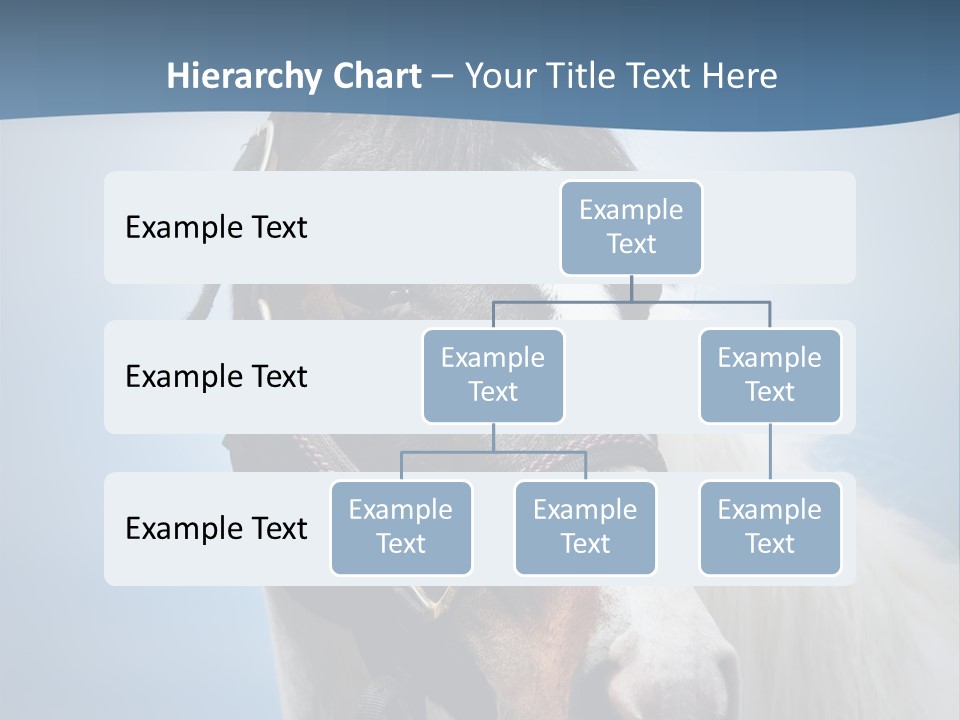 Horse Mare Face PowerPoint Template