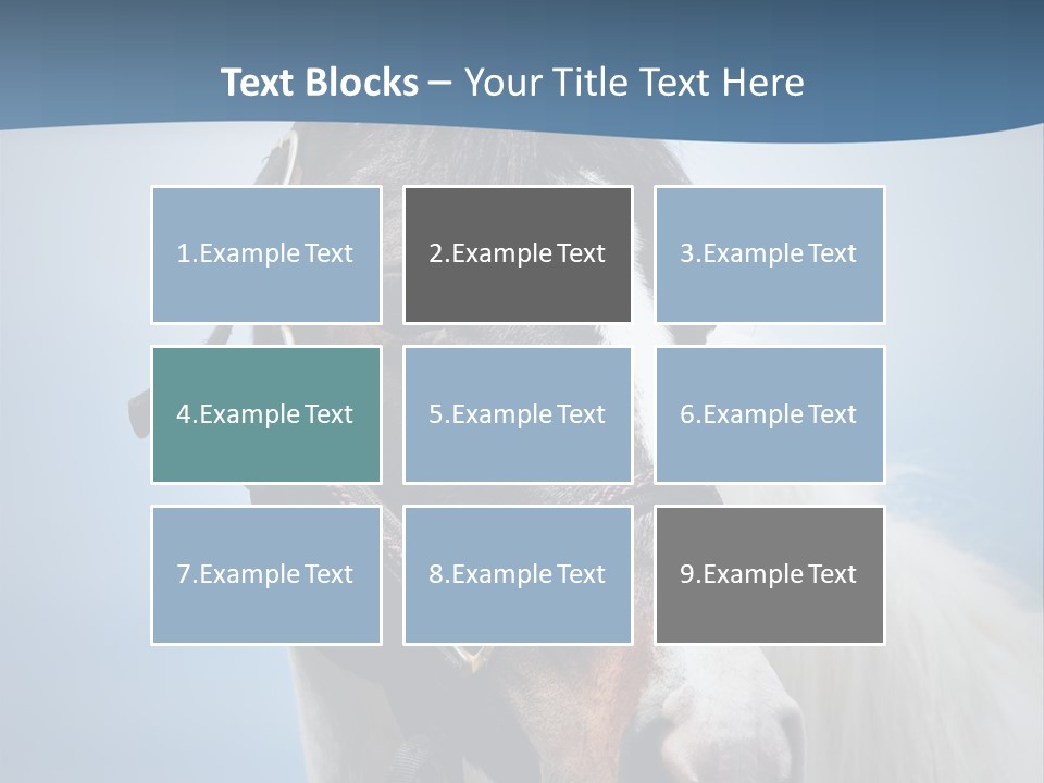 Horse Mare Face PowerPoint Template