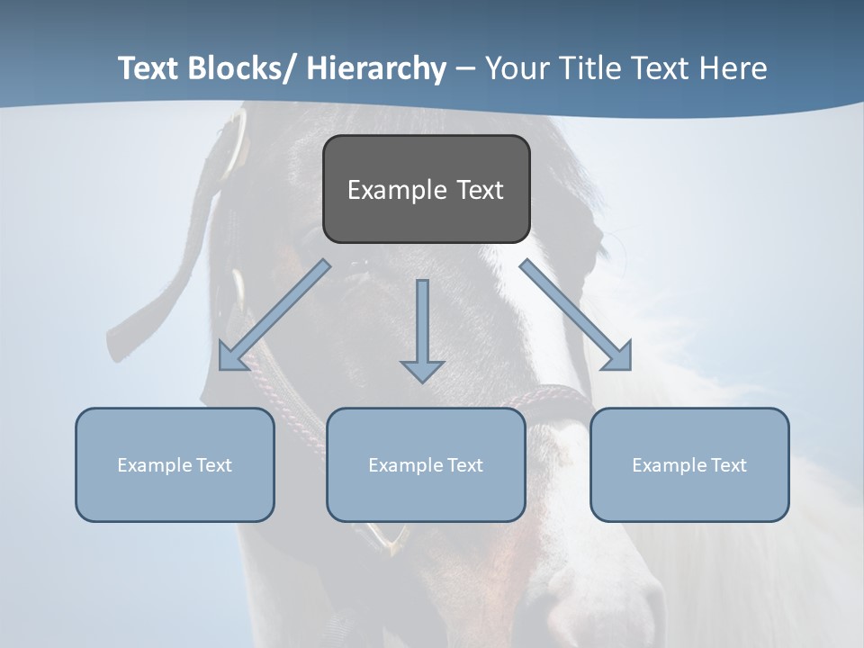 Horse Mare Face PowerPoint Template