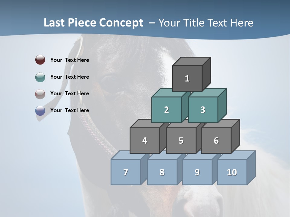 Horse Mare Face PowerPoint Template