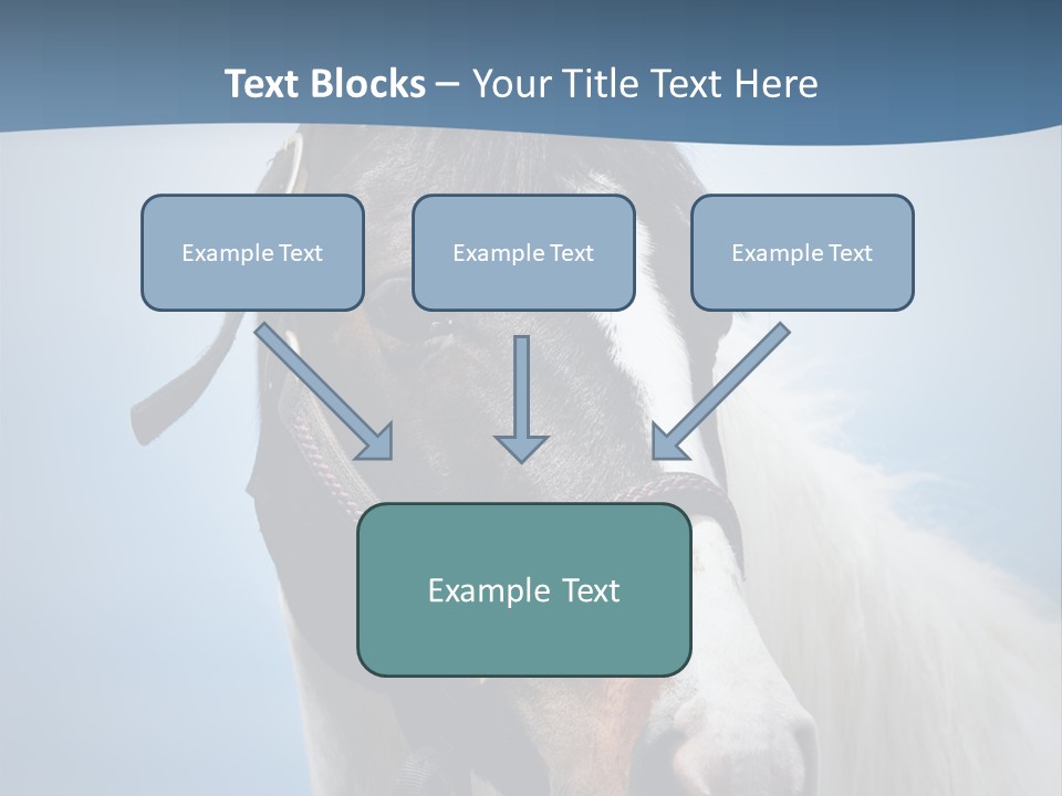 Horse Mare Face PowerPoint Template