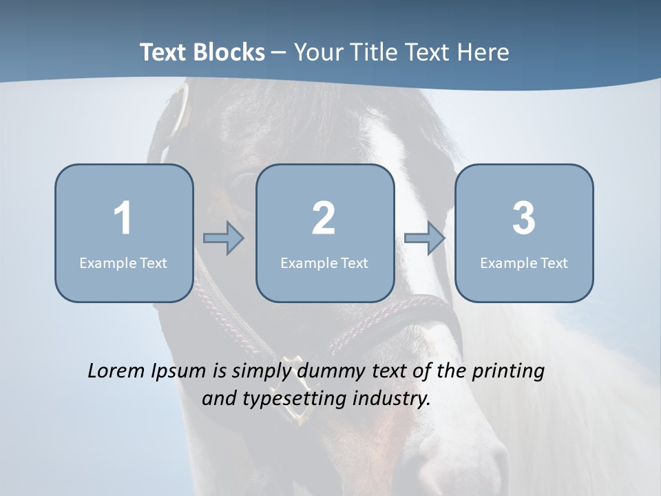 Horse Mare Face PowerPoint Template