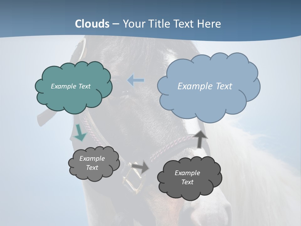 Horse Mare Face PowerPoint Template