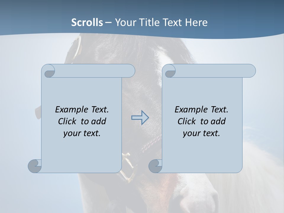 Horse Mare Face PowerPoint Template