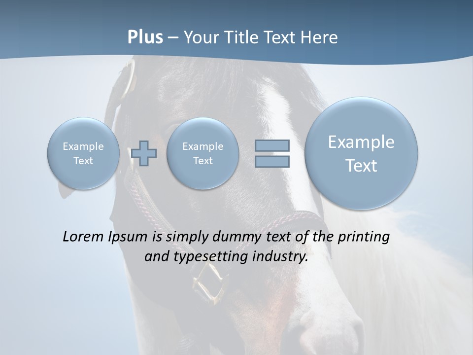 Horse Mare Face PowerPoint Template