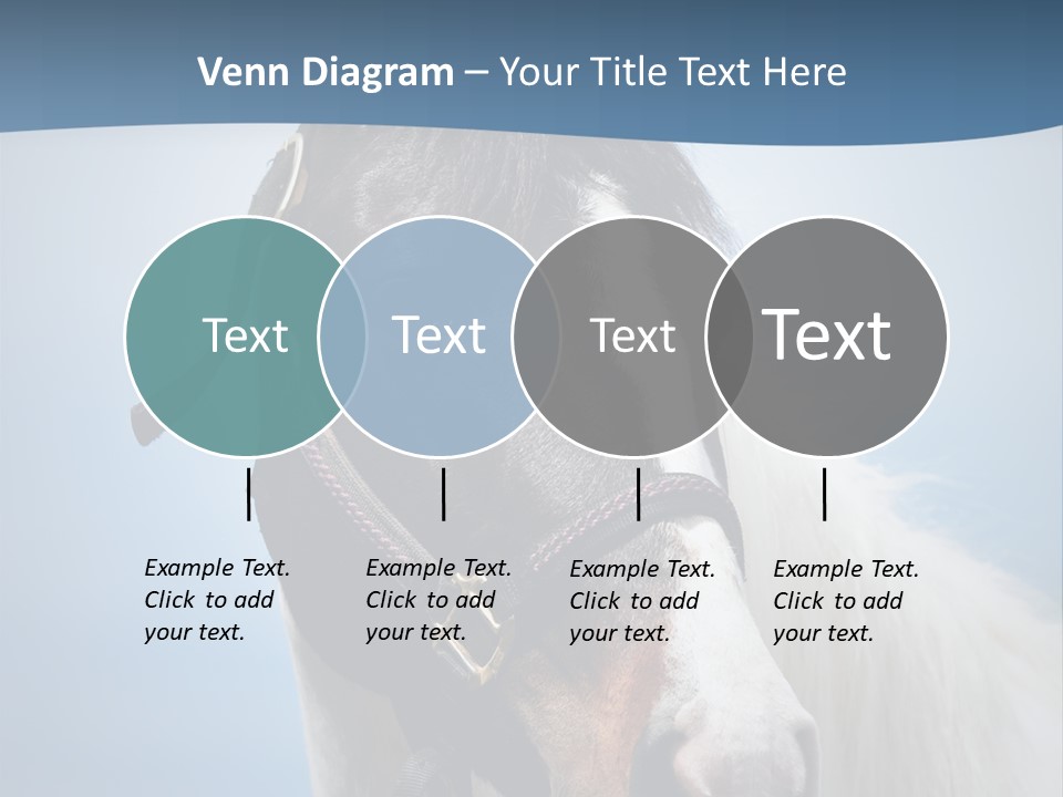Horse Mare Face PowerPoint Template