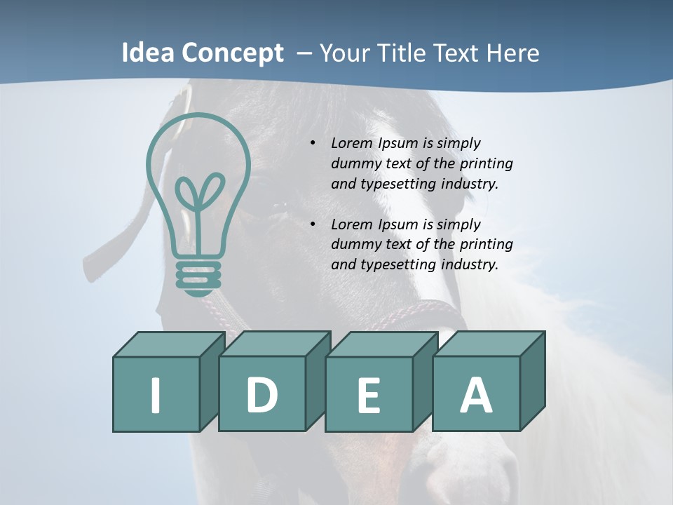 Horse Mare Face PowerPoint Template