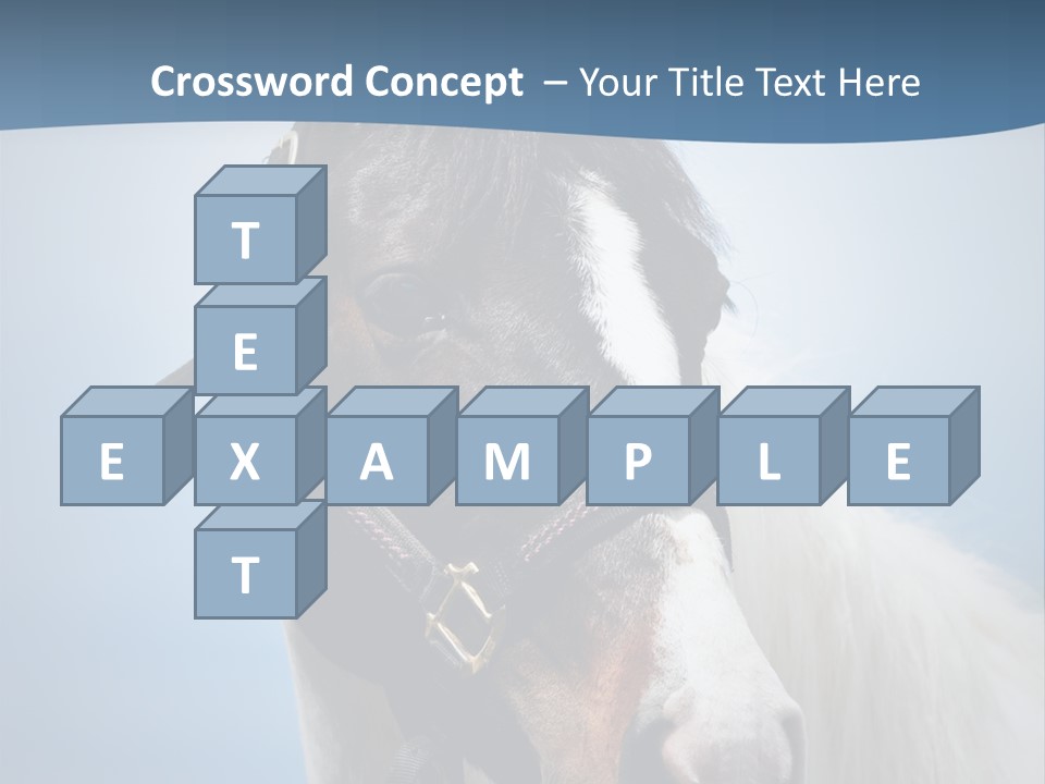 Horse Mare Face PowerPoint Template