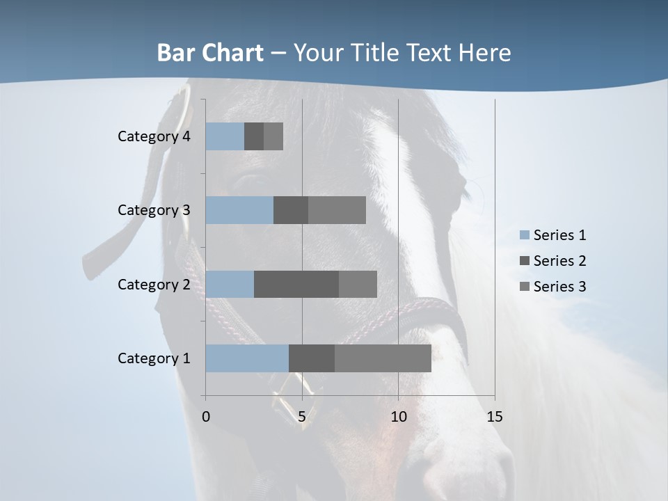 Horse Mare Face PowerPoint Template