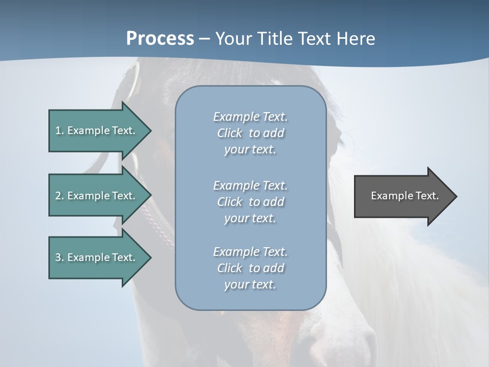 Horse Mare Face PowerPoint Template