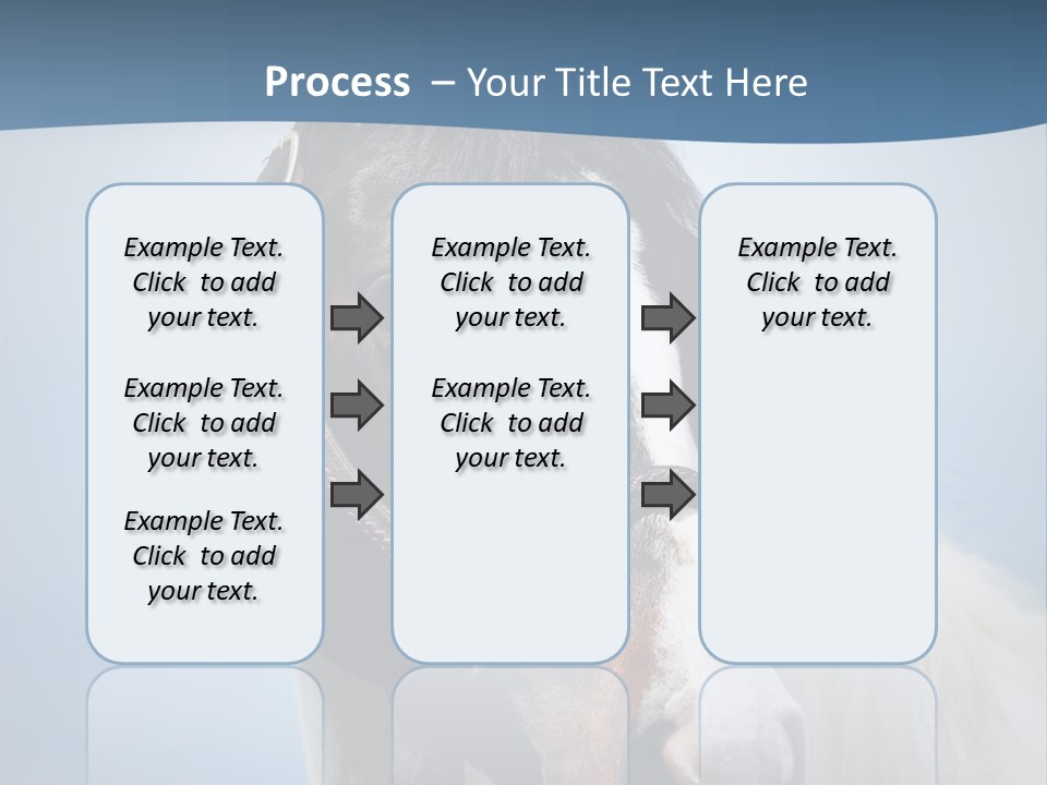 Horse Mare Face PowerPoint Template
