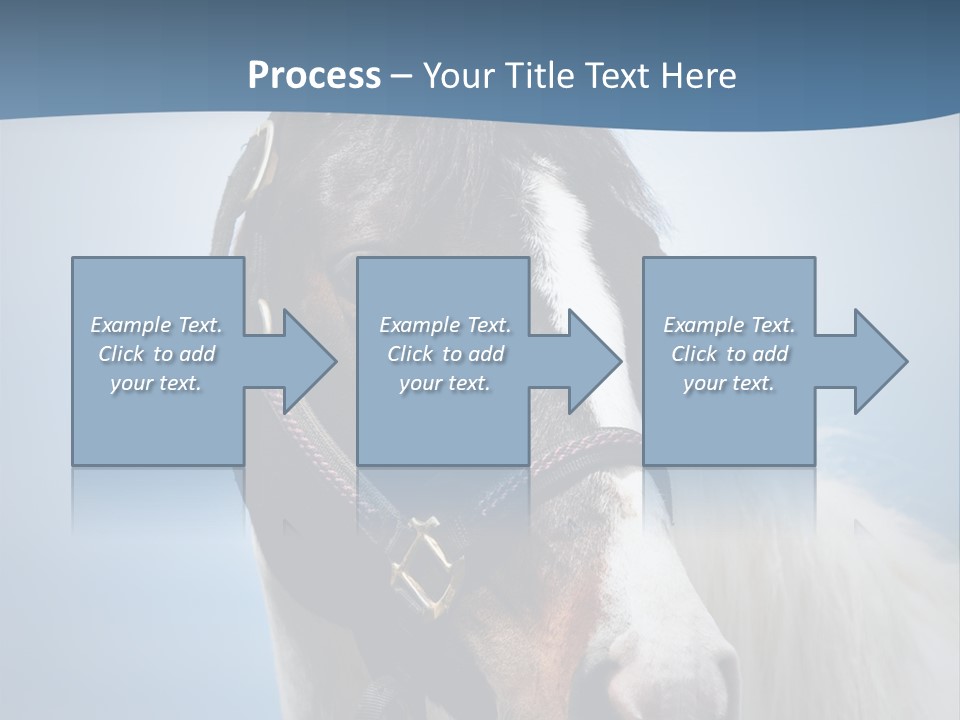 Horse Mare Face PowerPoint Template