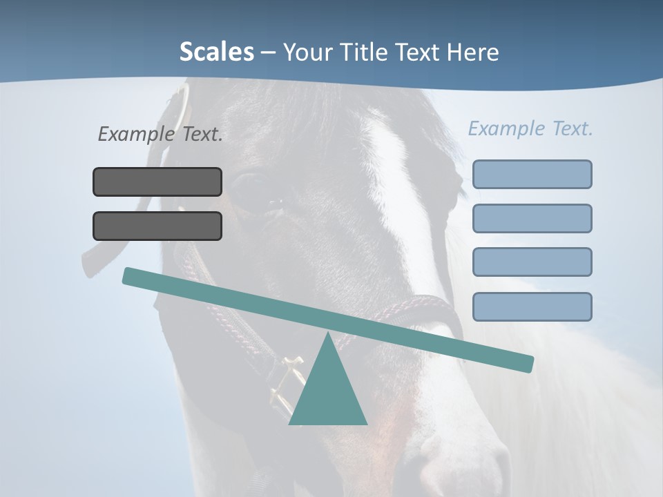 Horse Mare Face PowerPoint Template