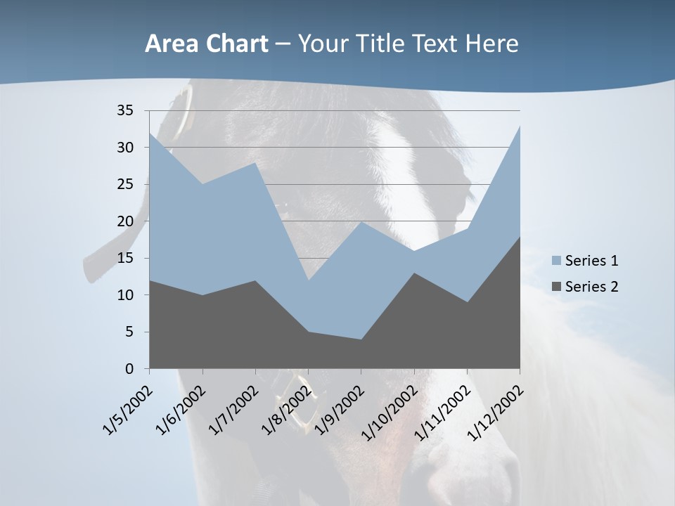 Horse Mare Face PowerPoint Template