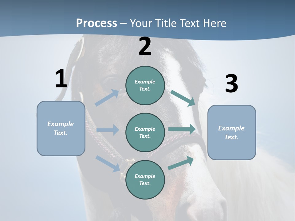 Horse Mare Face PowerPoint Template
