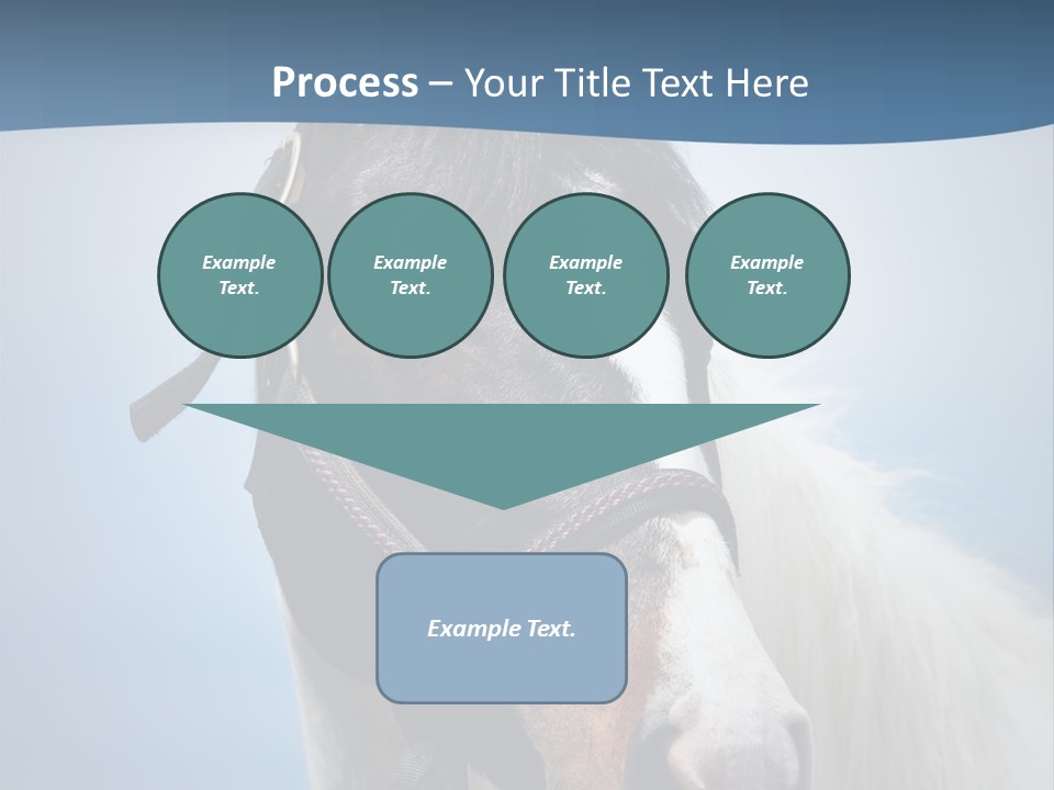 Horse Mare Face PowerPoint Template
