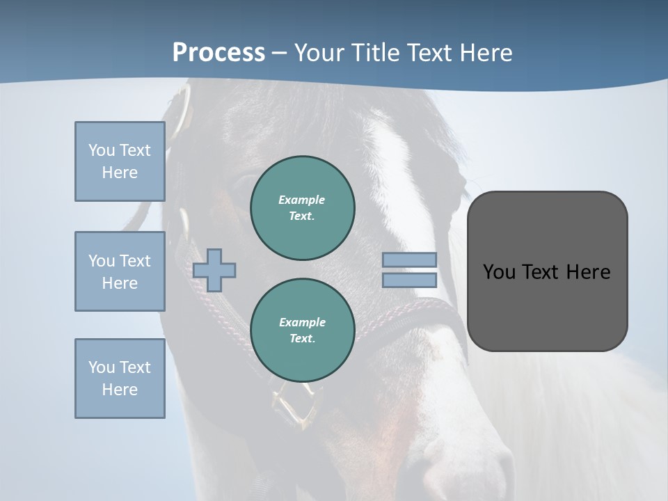 Horse Mare Face PowerPoint Template