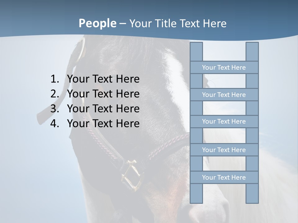 Horse Mare Face PowerPoint Template