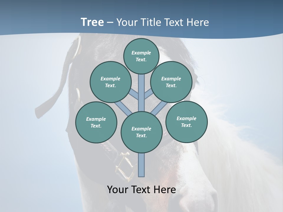 Horse Mare Face PowerPoint Template