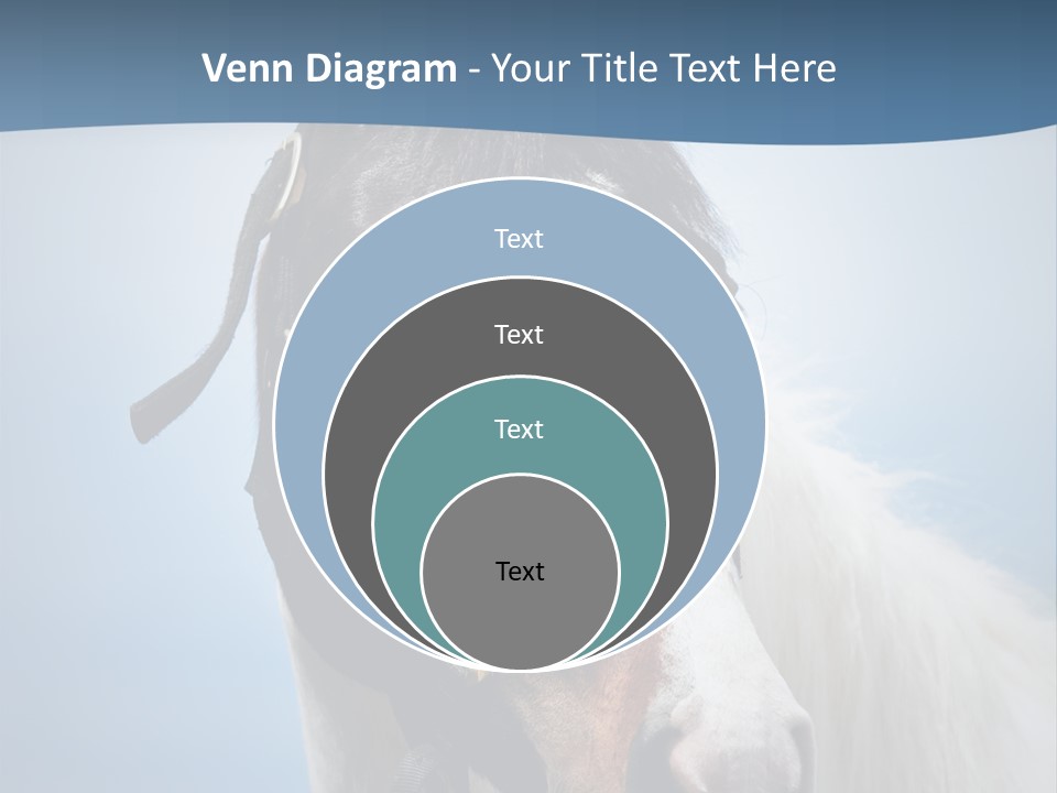 Horse Mare Face PowerPoint Template